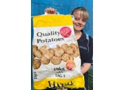 NEW SEASONS YELLOW FLESH  ALL ROUNDER POTATOES 10KG BAG Grown in Pukekohe